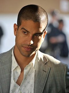 Eric Delko (CSI: Miami)