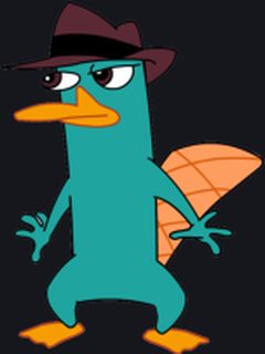 Perry the Platypus (Phineas and Ferb)